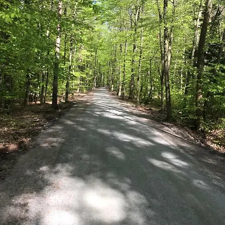 Barcelona Микошево