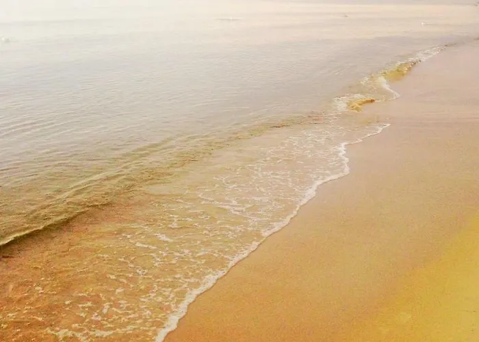 Barcelona 3* Mikoszewo